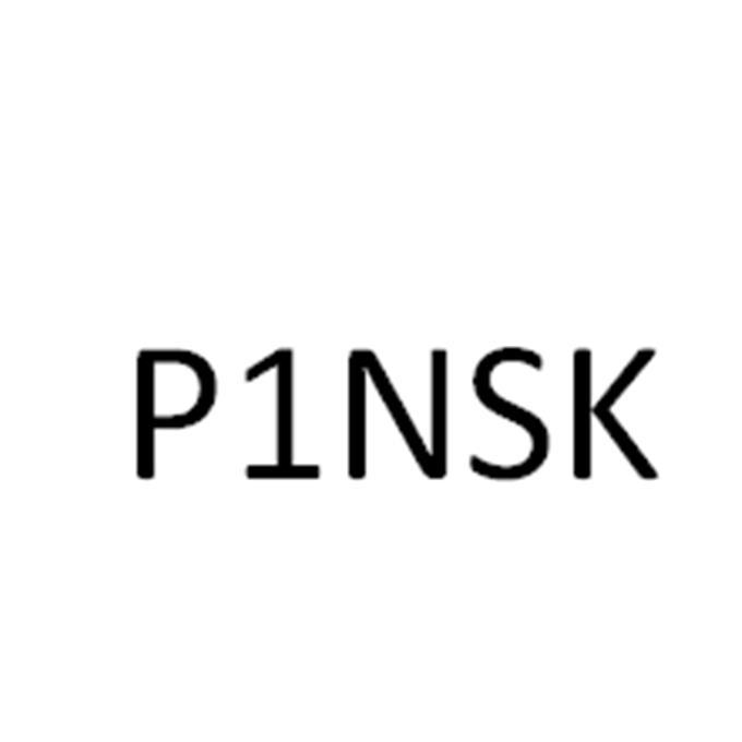 P1NSK