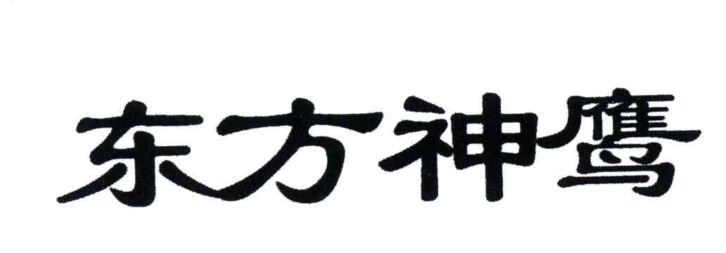 东方神鹰