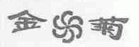 金菊