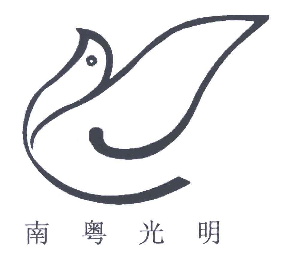 南粤光明