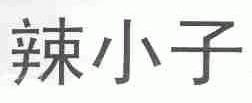辣小子