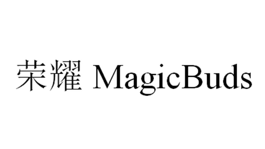 荣耀 MAGICBUDS