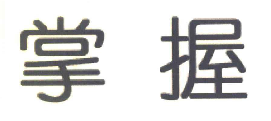 掌握