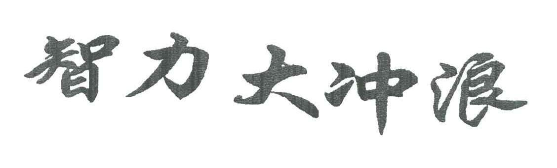 智力大冲浪