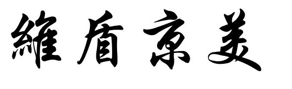 维盾京美