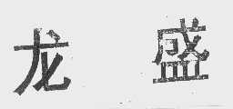 龙盛