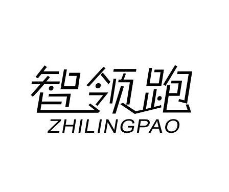 智领跑