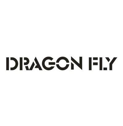 DRAGON FLY