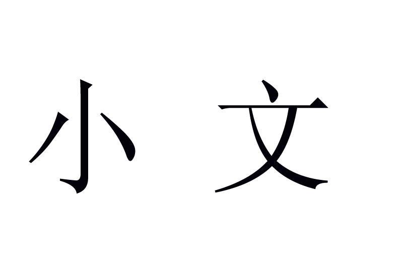 小文