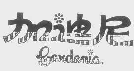 加迪尼   GARDENIA