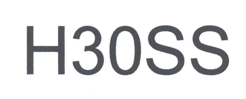 H30SS