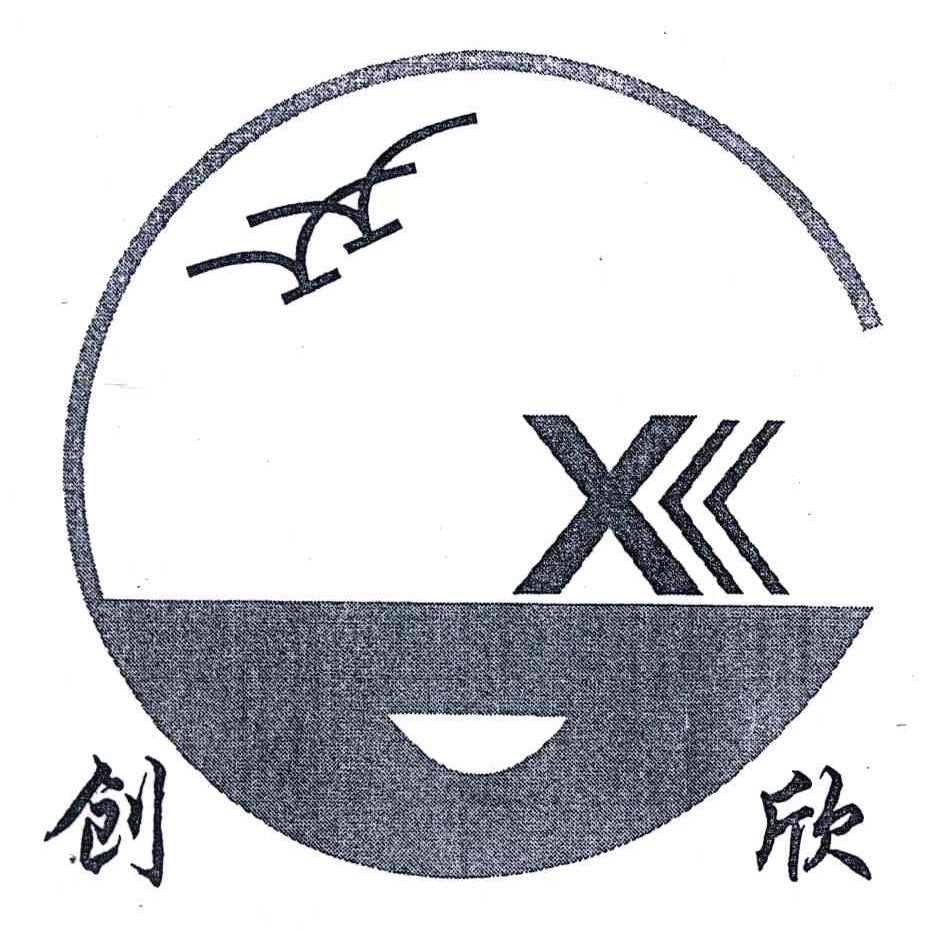 创欣;X