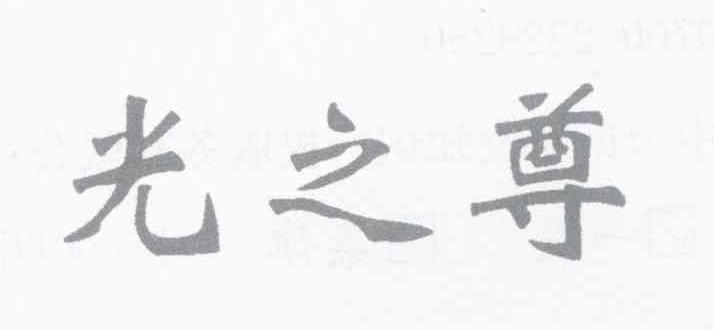 光之尊