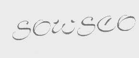 SOWSCO