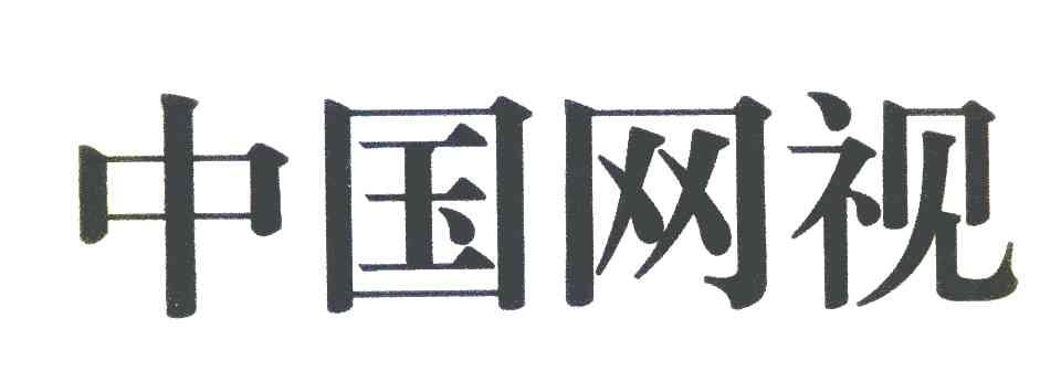 中国网视