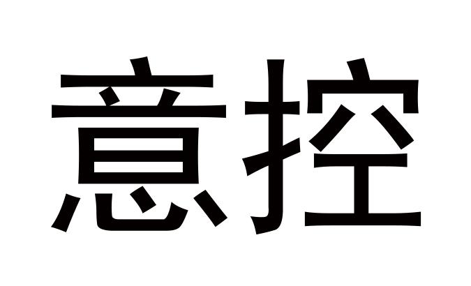 意控