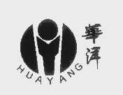华洋