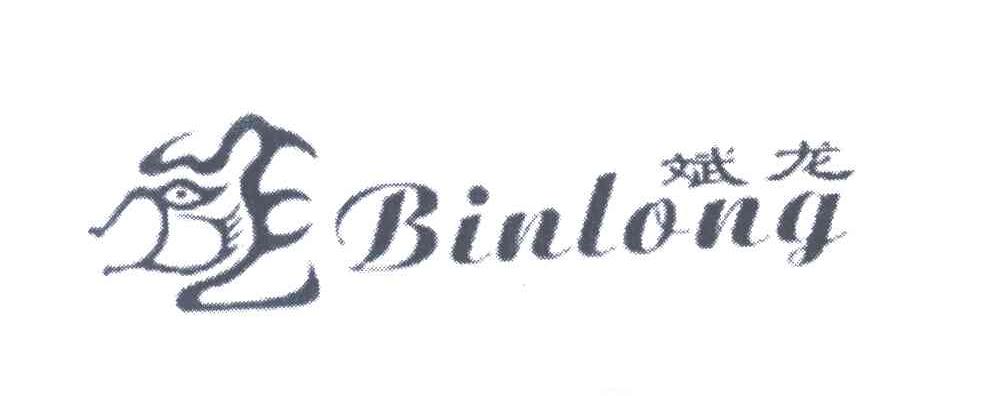 斌龙;BIN LONG