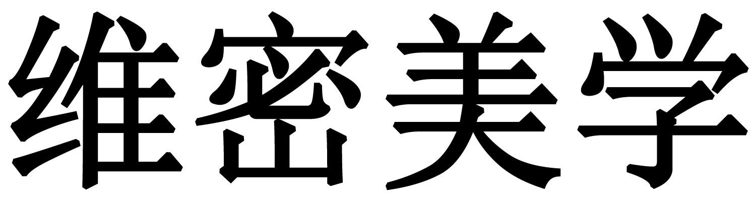 维密美学