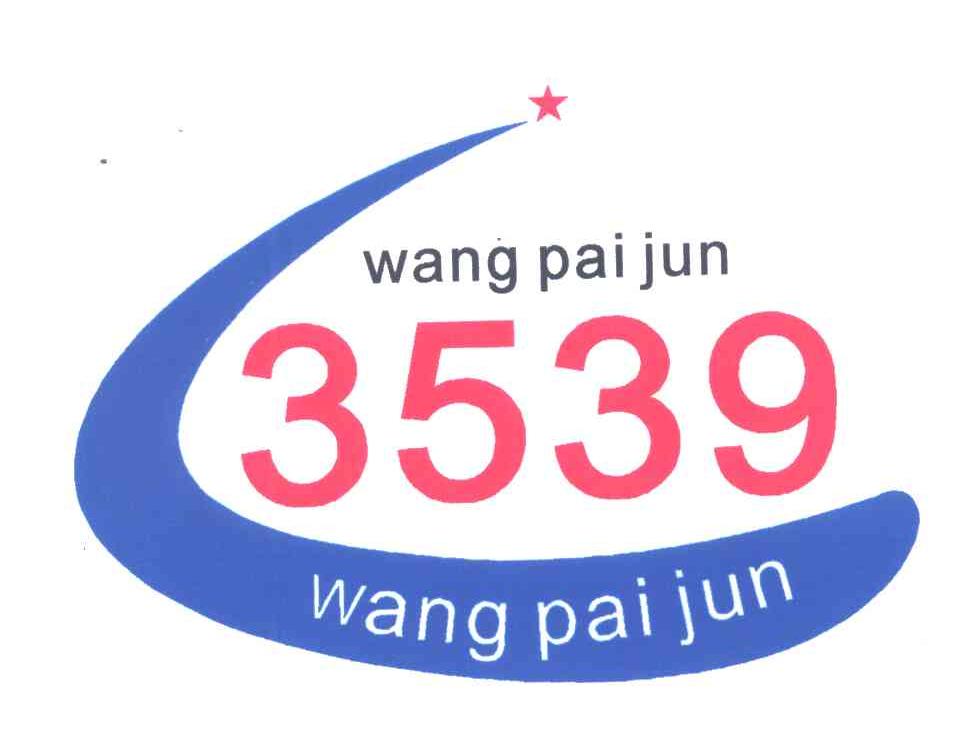 WANG PAI JUN;3539