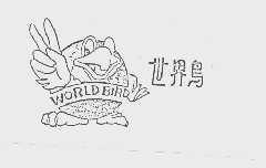 世界鸟   WORLD BIRD