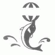 S-DOLPHIN