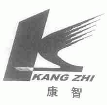 康智