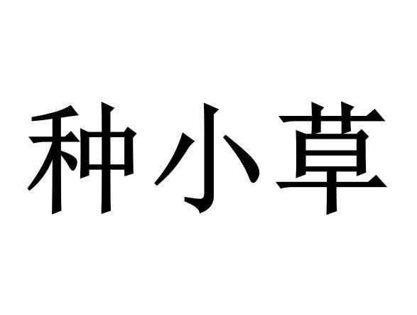 种小草
