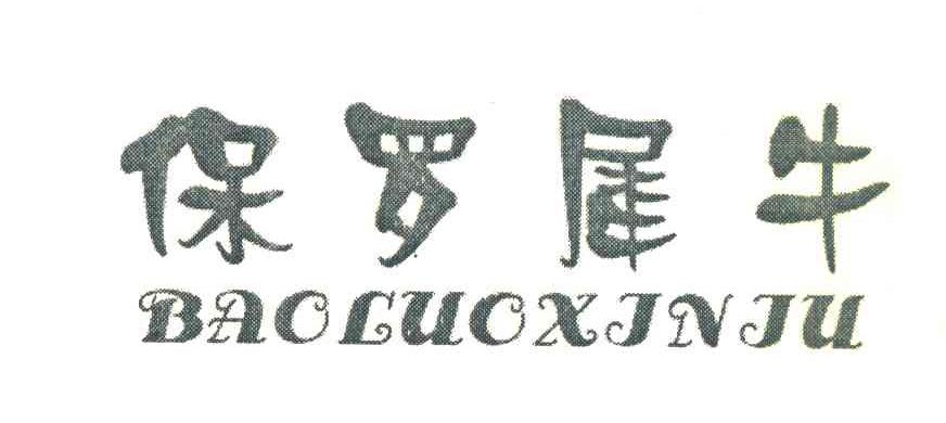 保罗犀牛