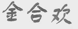 金合欢