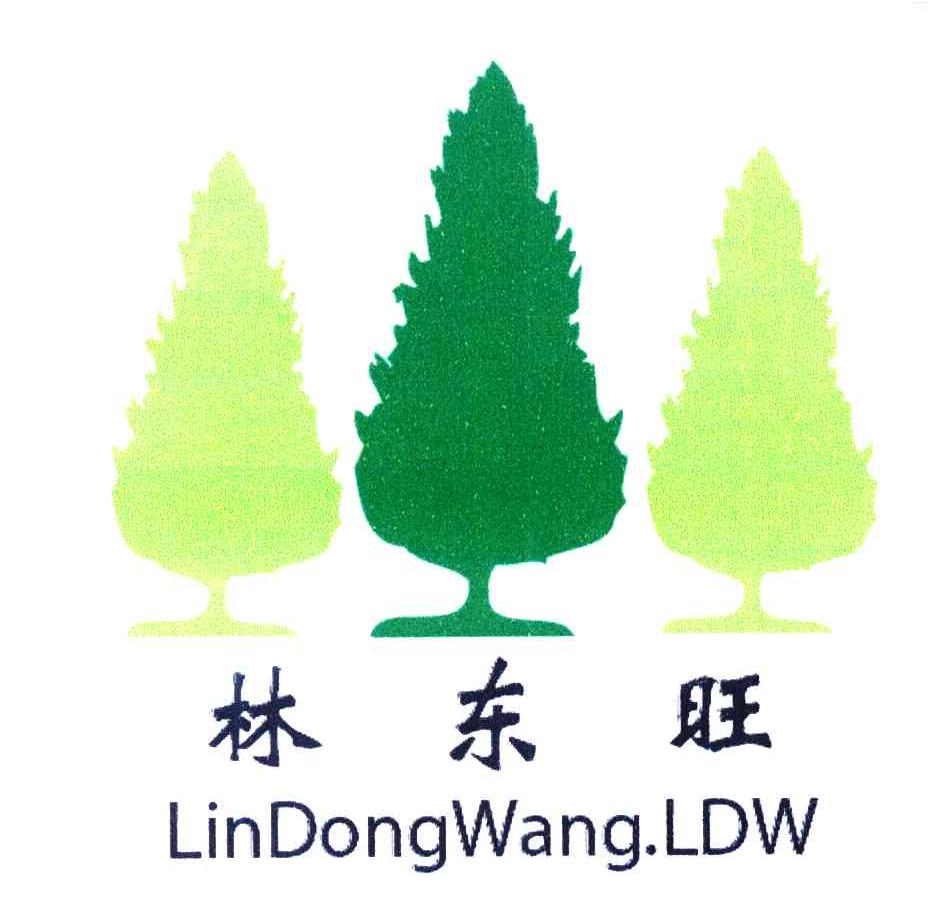 林东旺 LINDONGWANG LDW