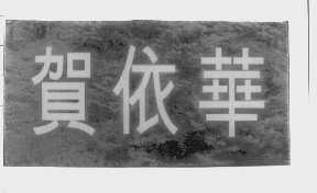 贺依华
