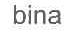 BINA