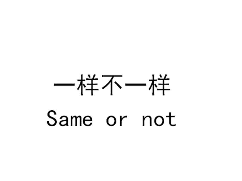 一样不一样 SAME OR NOT