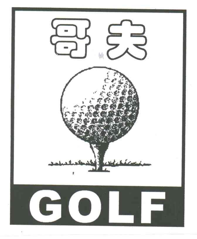 哥夫;GOLF