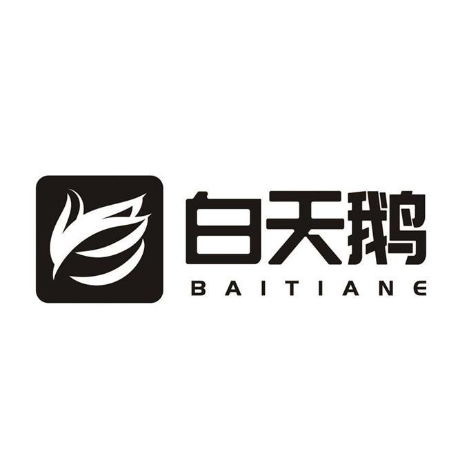 白天鹅