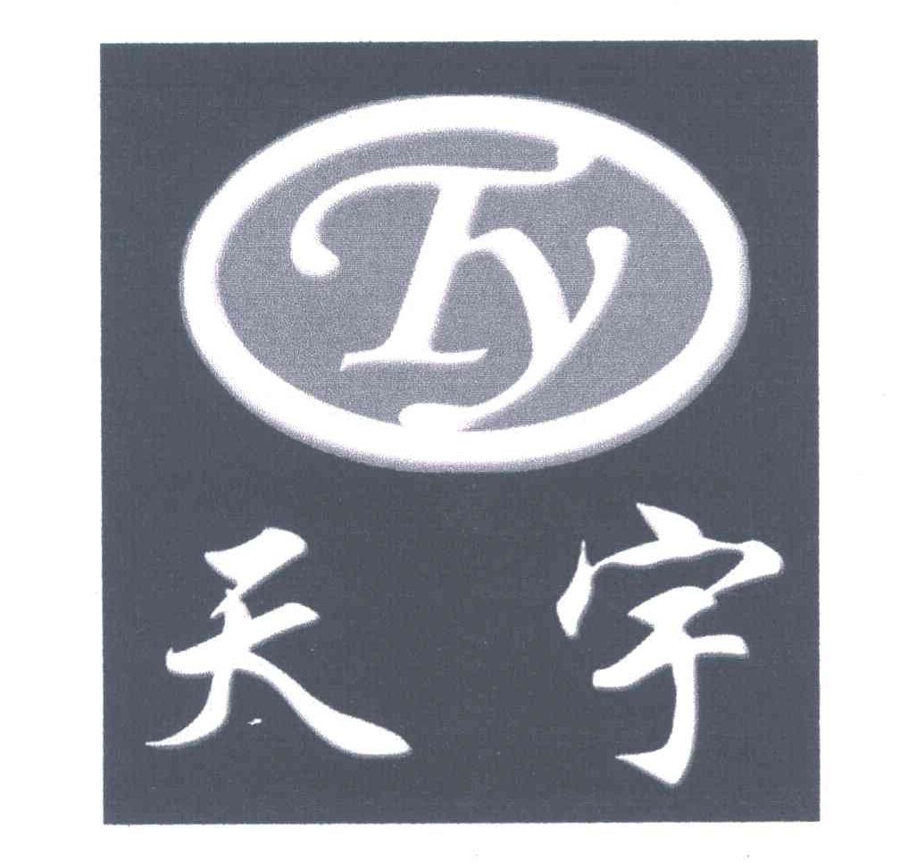 天宇 TY
