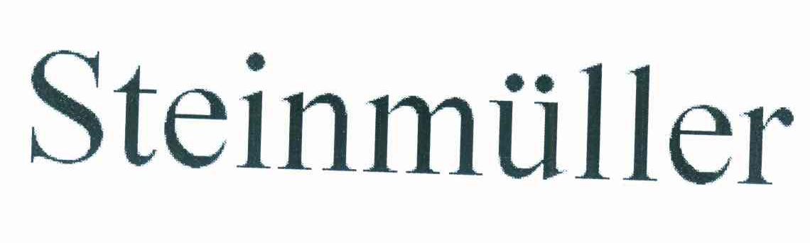 STEINMULLER