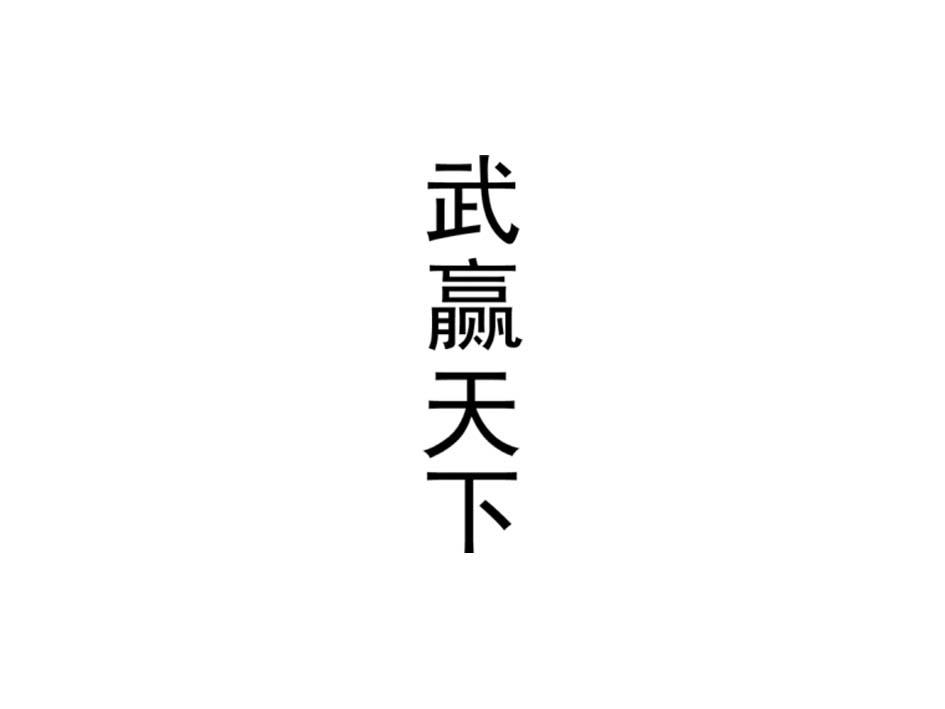 武赢天下