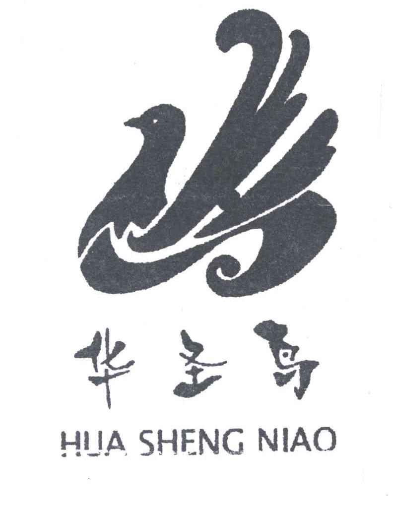 华圣鸟