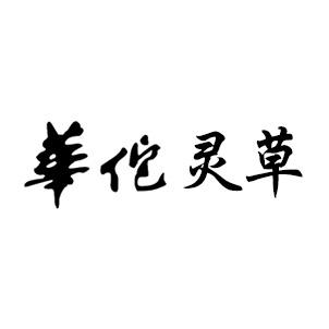 华佗灵草
