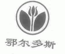 鄂尔多斯