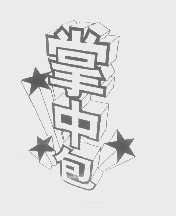 掌中包