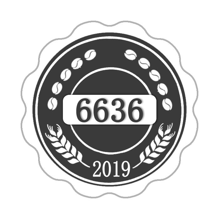 6636 2019