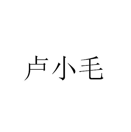 卢小毛
