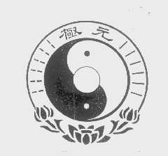 极元