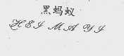 黑蚂蚁