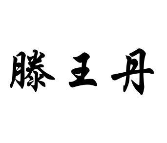 滕王丹