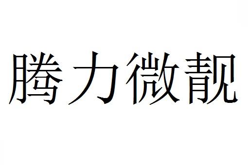 腾力微靓