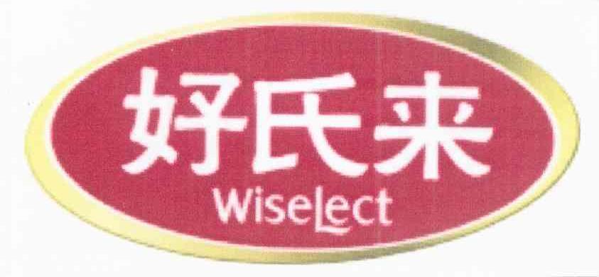 好氏来 WISELECT